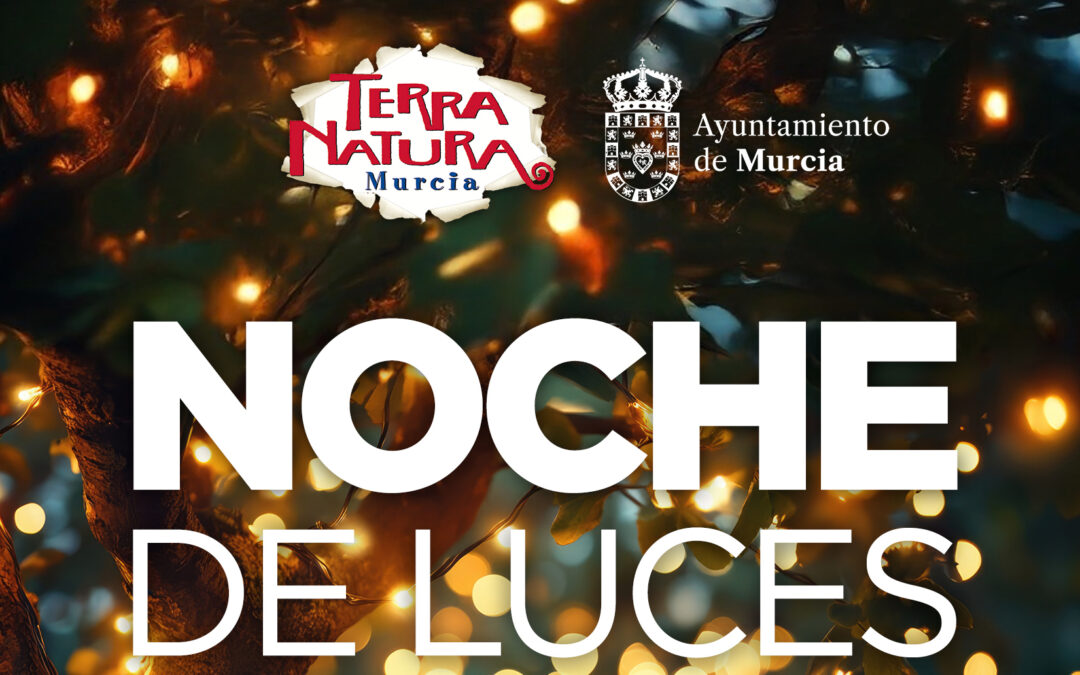 Noche de luces 2026: prepárate para brillar